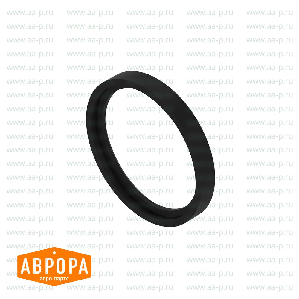 CH16106 САЛЬНИК